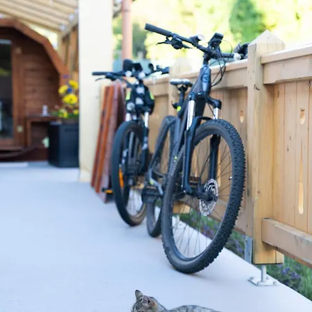 Apartman Geszthouse-tulipános Borsodgeszt