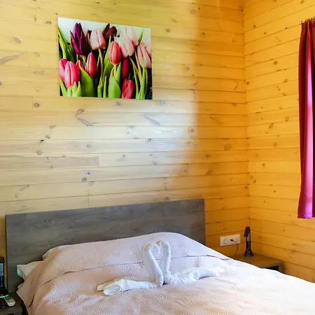 Geszthouse-tulipános