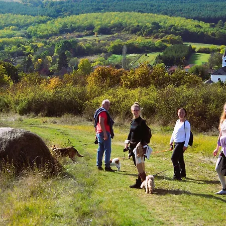 Geszthouse-tulipános