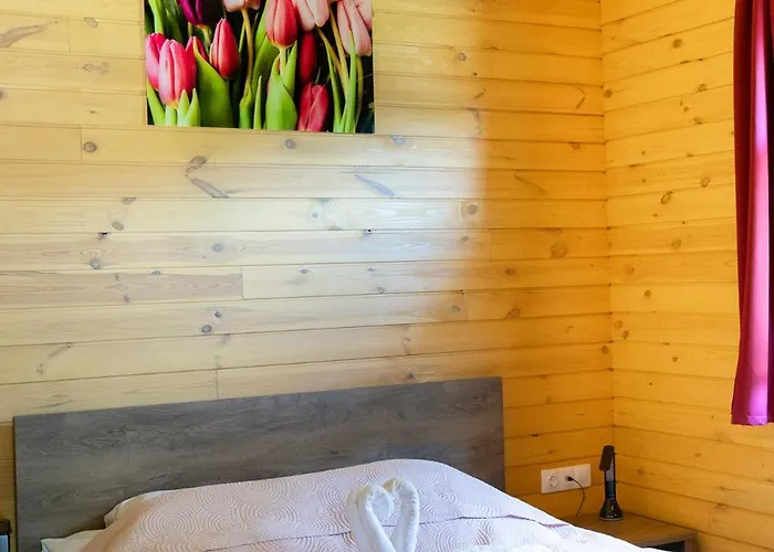 Geszthouse-tulipanos Vendeghaz