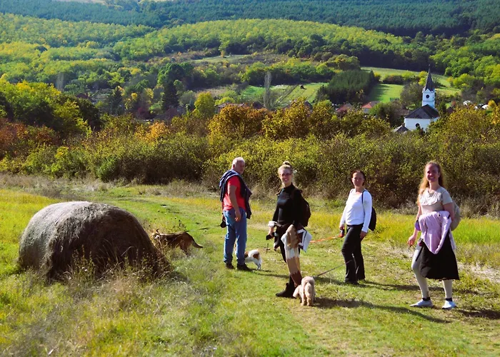 Geszthouse-tulipanos Vendeghaz